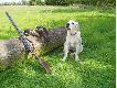 Nie �yczy�a sobie ko�ca sesji, To wida� !!