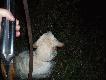 Lec�, s� blisko, uwaga !?