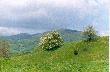 Ach Bieszczady...