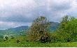 Ach Bieszczady...