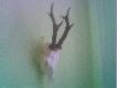jeden z sz�staczk�w czy w�a�nie koledzy o takie mocowanie wam chodzi??