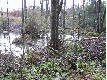 To te� s� zdj�cia robione z drogi. Bobrom nie przeszkadza