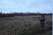 No c�z... oczekiwa�em �osia byka a wysz�a klempa. Mimo wszystko widok przedni. (Oczywi�cie tylko cieszy�em oko).