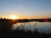zachod slonca
Zachod slonca okolice jeziora Erie prowincja Ontario zjecia zrobione podczas polowania na kaczki