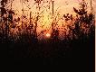 Knieja przywita�a nas przepi�knym wschodem i r�wnie cudownne widoki mieli�my okazje ogl�da� wracaj�c do swych dom�w...
