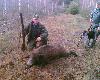 W tym dniu �w Hubert mnie lubi�: pozyska�em warchlaka i tego oto odyniaszka.