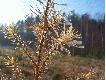 A po wschodzie s�o�ca.....