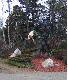 Pocz�tek krainy �osi.
Nale�y uwa�a� bo i taka przygoda mo�e poluj�cego spotka�.