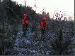 Co tam mo�e by�? J�zef pilnie si� przygl�da na zr�b.