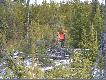 Pawe� i Janek id� na ska�ki. By� tam ciekawy ci�g jeleni. Mo�e szcz�cie dopisze.