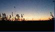 Nast�pnego dnia o �wicie. Tam s�o�ce �wieci nisko nad horyzontem i dlatego mo�na obserwowa� d�ugie wschody.