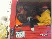Weso�y autobus ;)))