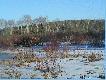 �eremia bobrowe