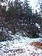 Pi�ty miot - 3 dziki, strza� do du�ego ody�ca : pud�o