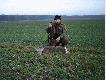 8 styczna 2007 god� 15.20 strz� na ok 120m  
Jeszcze jedna sarna .  Koniec sezonu na sarny  za kilka dni  a plany  jeszcze nie zrobione .Mo�e nie wszyscy my�liwi wiedz� ze   nadle�nictwa nak�adaj� kary pieni�ne na ko�a �owieckie  za nieodstrzelone sztuki . Zosta�y   jeszcze 3 sarny do wykonania  planu