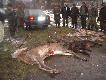Pokot. Bia�czyn 27.11.2004