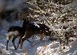 za mamusk� i siostrami :)  nawet nie raczy� spojrze� w obiektyw :(