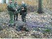 Jesienne polowanie. Przyjmuj� gratulacje za okaza�ego przelatka (58 kg).