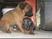 Kto wy�ej, ten rz�dzi 