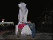 Kraina bia�ego nied�wiedzia w Cochrane