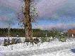 Krzy�e we wsi