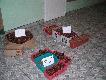 ..nawet najm�odszym nie jest oboj�tny los le�nych zwierz�t ...chc� pomaga�!!!