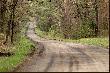 Mo�e jaki� spacer...
