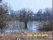 ��ki przy klasztorze Cysters�w bardzo dawno nie zalewane przez rzek� We�n�. 