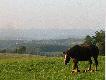 Ach te Bieszczady :)
