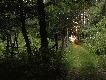 inne �wiaty