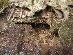 a to wspomniane wcze�niej �r�de�ko.super woda