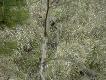 za mn� poszukamy mamy!