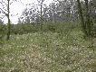 w zaciszu m�odniczka oko�o po�udnia
