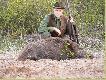 Meski przelatek 45kg strzelony z rannego podchodu. Przy preparacji oreza okazalo sie ze mial uszkodzona (w zasadzie zanikla) jedna z fajek co przyczynilo sie do szybszego wzrostu prawej szabli i dysproporcji miedzy nia a lewa