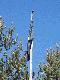 Flaga w g�rze...