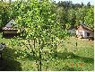 Widok�w ci�g dalszy