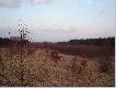 fragment mojego �owiska