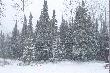 19 maja 2007 - minus 6 stopni C., a jeszcze dwa dni wcze�niej by�o plus 31 stopni C (polnocne Ontario)