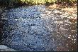 Bystrzyce na rzece o odpowiedniej nazwie "Poplar Rapids River", kt�ra wpada do rzeki Matagami.