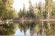 Poplar Rapids River