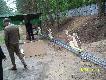 Zmodernizowana o� rogacz-lis.Bardzo estetycznie wykonana.Pozazdro�ci� tylko.