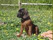 cwicz� od�o�enie