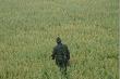 Ide sprawdzic efekt 1 strza�u.