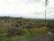 sk�tki churaganu na S�owacji