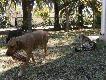 Wsp�gospodarze na naszej farmie