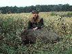Gruby wycinek (90 kg) strzelony wczesnym wieczorem o godz. 20.20 w czwartek 26.07.07 r. Ciekawostk� jest fakt, �e przyszed� na wab zamiast ... koz�a :-)
DB