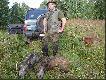 no i mia�em nosa po 10 minutach spacerku naszed�em na watah� 8 przelatk�w. Da�y si� podej�� na 40 krok�w. Pierwszego strzeli�em na �eb, po czym dziki zerwa�y i zacz�ly przeskakiwa� przez le�n� drog�. Przepu�ci�em 3 dziki , czwartego delikatnie wyprzedzi�em i odda�em centralny komorowy strza� na serce, po czym dzik zrolowa�.