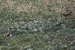 Jeszcze par� metr�w i . . . . .