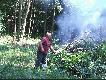 ...i spali� ga��zie...