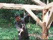 Do konstrukcji dachu doda�em swoje "trzy grosze"... ;)